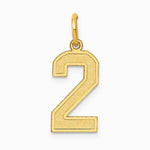 10K / 14K Yellow Gold Medium Satin Number 2 Charm - Product Photo