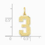 10K / 14K Yellow Gold Medium Satin Number 3 Charm - Product Photo