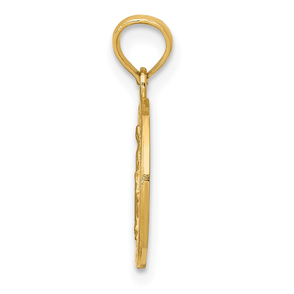 10K / 14K Yellow Gold Miraculous Medal Pendant - Product Photo