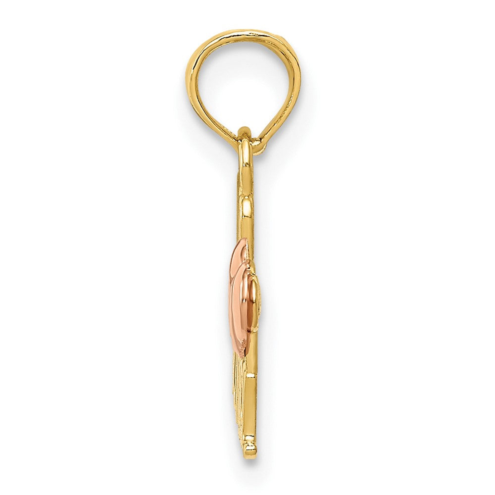 10k Two-Tone We Love Nana Charm - Product Photo
