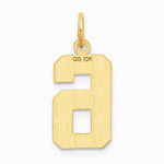 10K / 14K Yellow Gold 10ky Casted Medium Diamond-cut Number 6 Charm - Product Photo