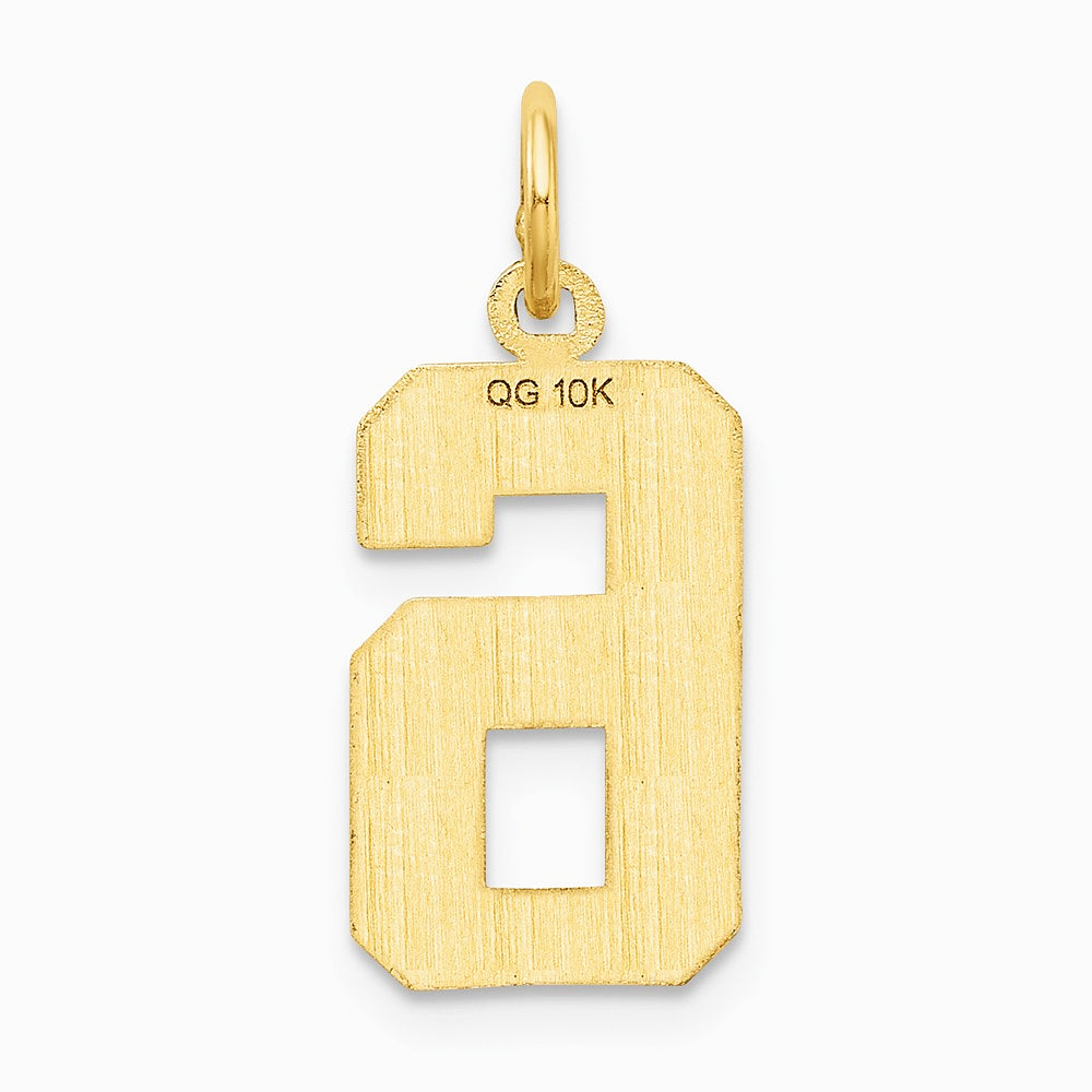 10K / 14K Yellow Gold 10ky Casted Medium Diamond-cut Number 6 Charm - Product Photo