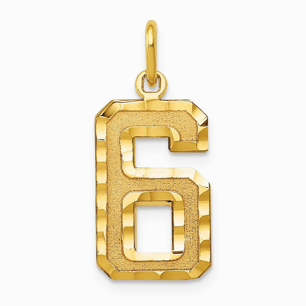 10K / 14K Yellow Gold 10ky Casted Medium Diamond-cut Number 6 Charm