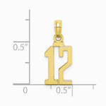 10K / 14K Yellow Gold Number 12 Pendant - Product Photo