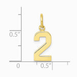 10K / 14K Yellow Gold Small Polished Number 2 Charm - Product Photo