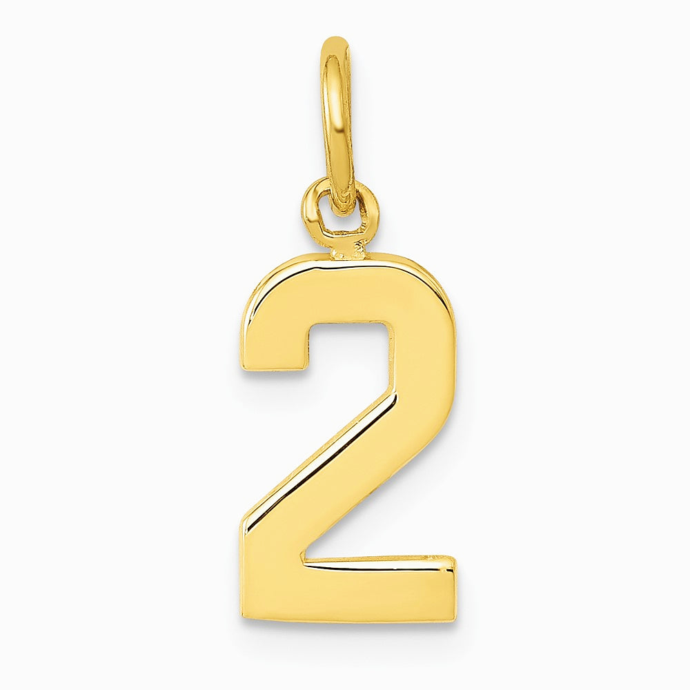 10K / 14K Yellow Gold Small Polished Number 2 Charm - Product Photo