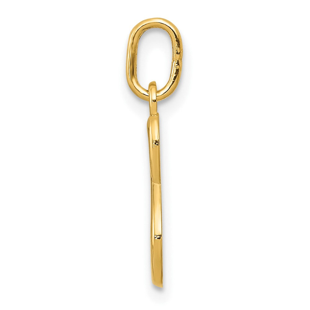 10K / 14K Yellow Gold Letter s Initial Charm - Product Photo
