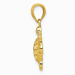 10K / 14K Yellow Gold Gold Polished & Textured Small DC Turtle Pendant - Product Photo