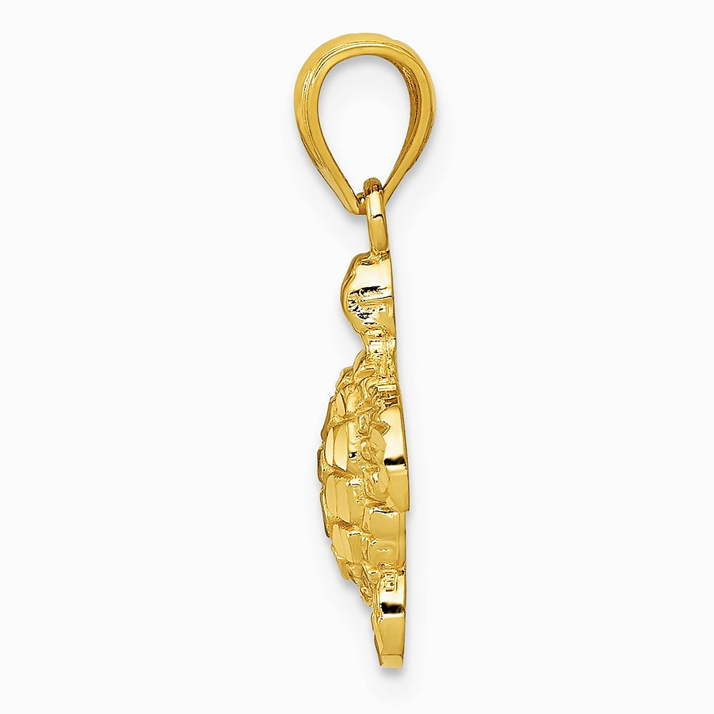 10K / 14K Yellow Gold Gold Polished & Textured Small DC Turtle Pendant - Product Photo