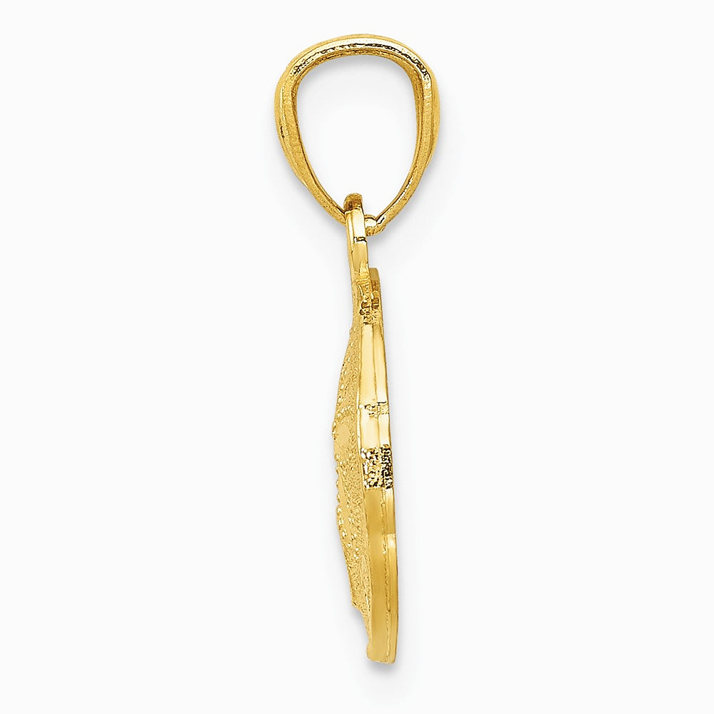 10K / 14K Yellow Gold Gold Polished & Textured Sand Dollar Pendant - Product Photo
