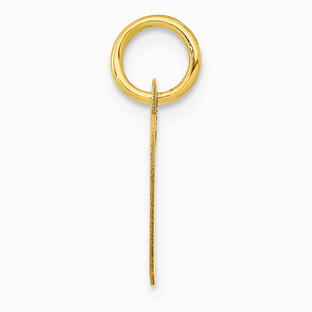 10K / 14K Yellow Gold Medium Fancy Script Initial D Charm - Product Photo