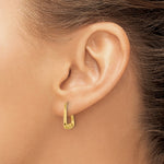 10K Yellow Gold Polished Hollow Fancy Hoops - Product Photo
