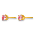 Inverness 14k 5mm Pink CZ Post Earrings - Product Photo