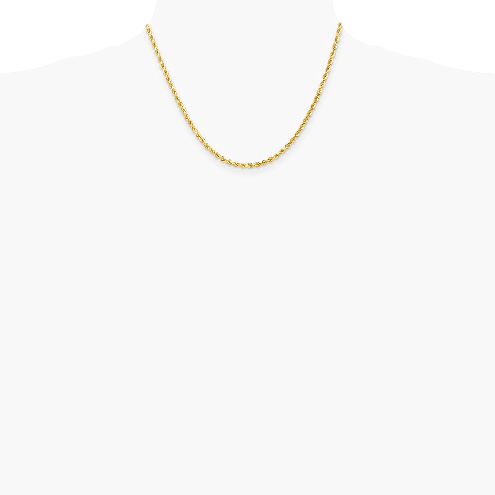 14K Yellow Gold 3.0 mm Diamond-cut Rope Chain Necklace 18"-30" - Product Photo