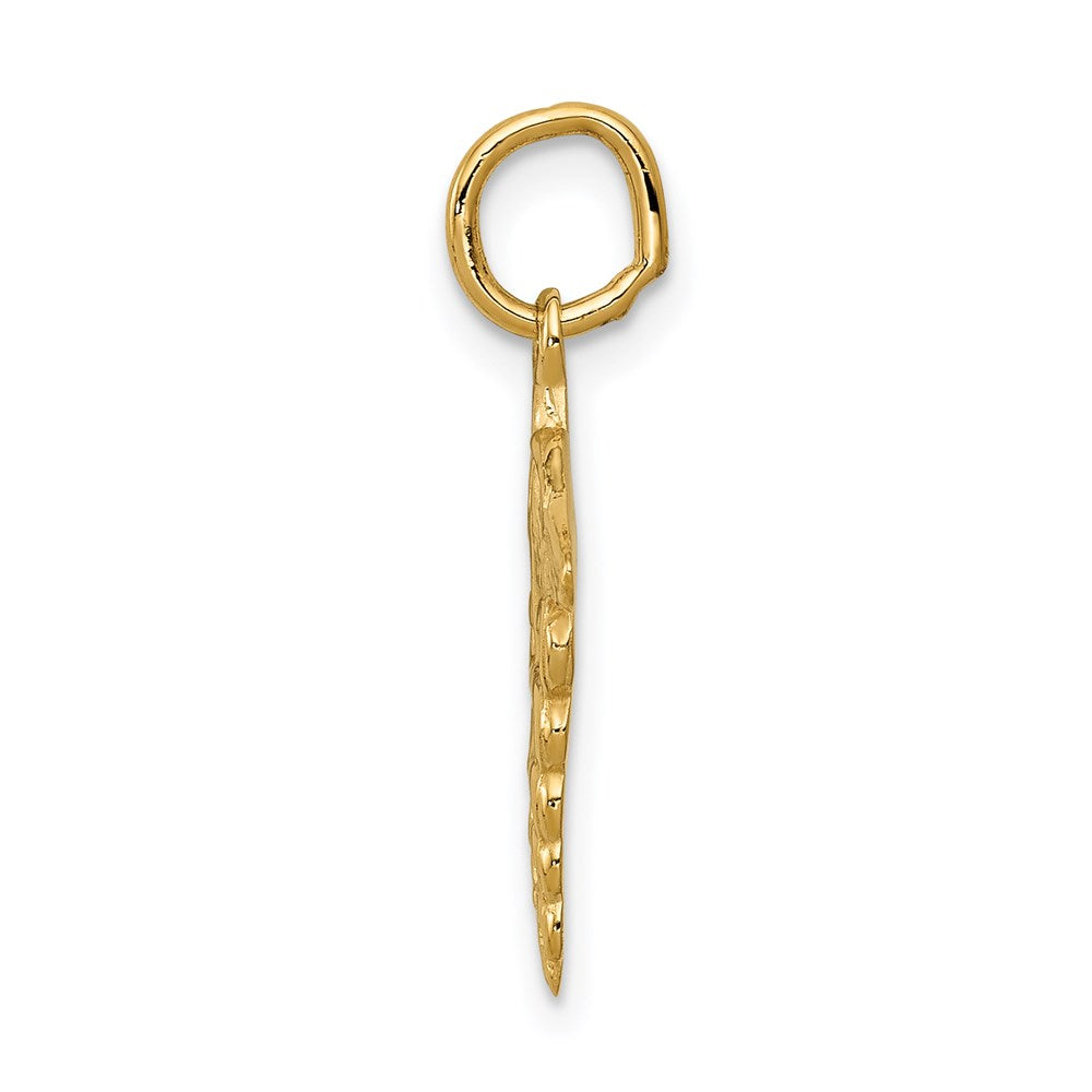 14k Caduceus Charm - Product Photo
