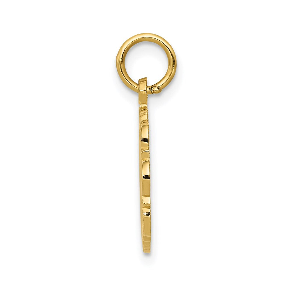 14k RN Registered Nurse Disc Charm - Product Photo