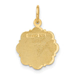 14k RN Registered Nurse Disc Charm - Product Photo