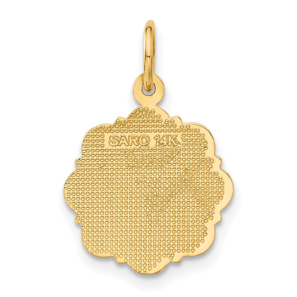 14k RN Registered Nurse Disc Charm - Product Photo