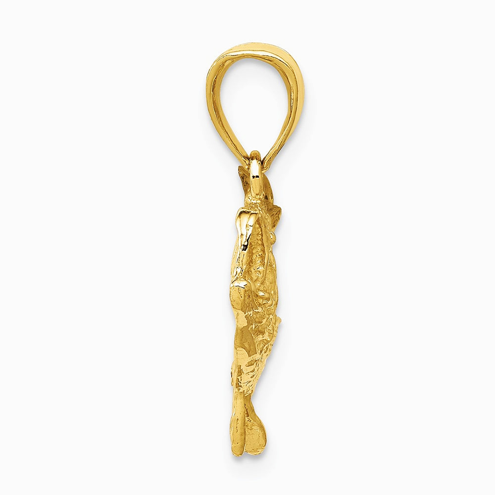 10K / 14K Yellow Gold Polished Open-Backed Bass Fish Pendant - Product Photo