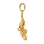 14K Yellow Gold Polished Open-Backed Redfish Pendant - Product Photo