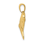 14K Solid Polished 3-D Shark Tooth Pendant - Product Photo