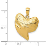 14K Solid Polished 3-D Shark Tooth Pendant - Product Photo