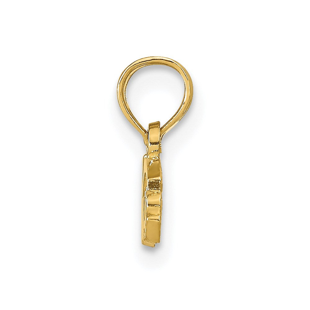 10K / 14K Yellow Gold Nurse Pendant - Product Photo