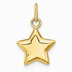 14K Yellow Gold 3-D Puffed Star Charm - Product Photo