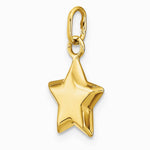 14K Yellow Gold 3-D Puffed Star Charm - Product Photo