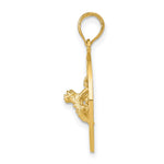 14k PUERTO RICO with Frog Pendant - Product Photo