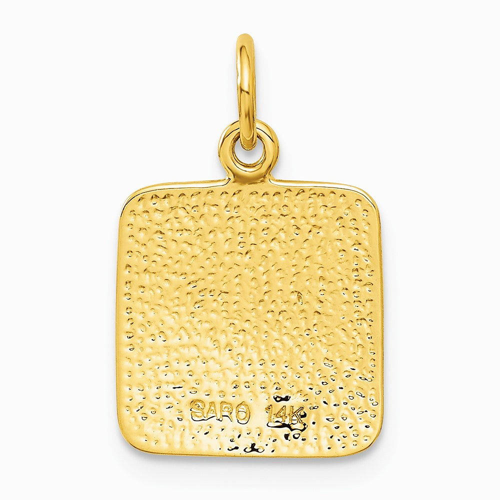 14K Yellow Gold Satin and Diamond-Cut Angel Charm - Product Photo