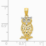 14K Yellow & Rhodium w/ Rhodium Owl Pendant - Product Photo