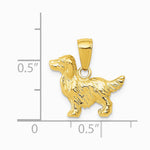 10K / 14K Yellow Gold Springer Spaniel Dog Pendant - Product Photo