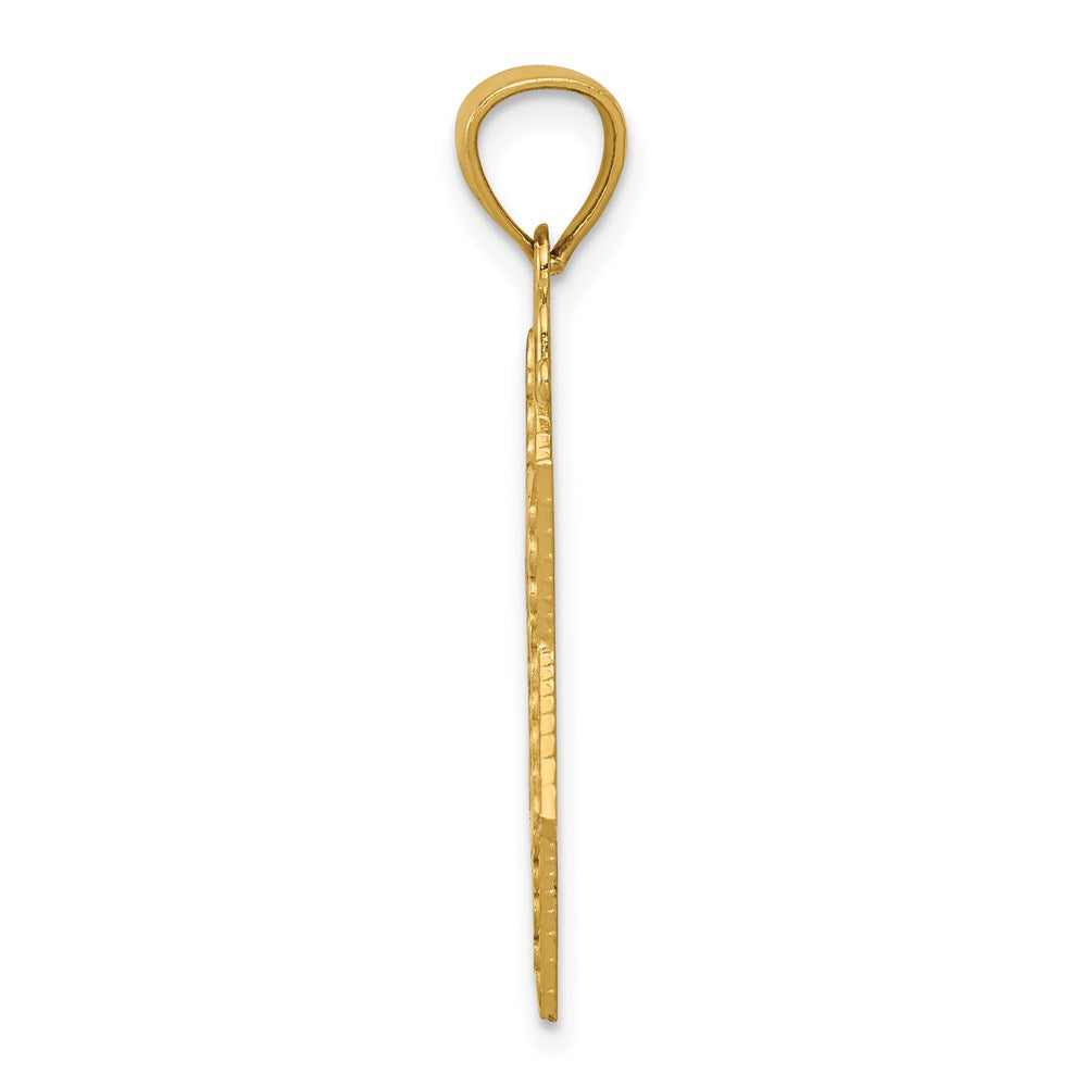 14k Diamond-cut Star of David Pendant - Product Photo