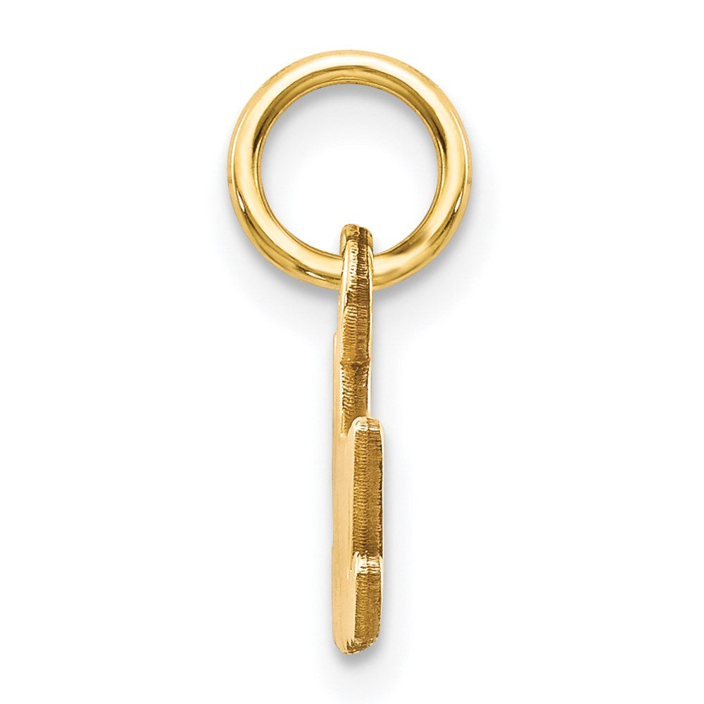 14k Satin NANA Charm - Product Photo