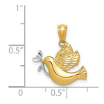 14k w/Rhodium Polished Dove w/Olive Branch Pendant - Product Photo