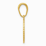 10K / 14K Yellow Gold Star Of David And Chai In Circle Pendant - Product Photo