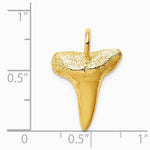 10K / 14K Yellow Gold Shark Tooth Pendant - Product Photo