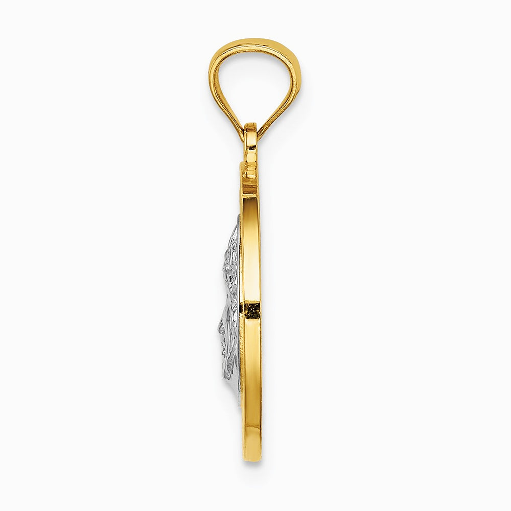 14K Yellow & Rhodium with White Rhodium Jesus Medal - Product Photo