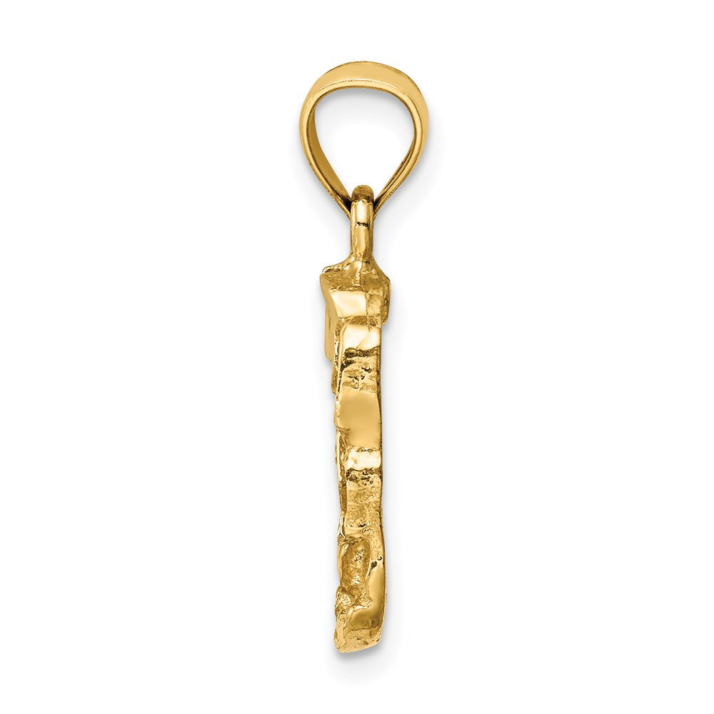 14K Diamond-cut Nugget Pendant - Product Photo