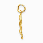 14K Yellow Gold Satin Diamond-cut Leo Zodiac Charm - Product Photo