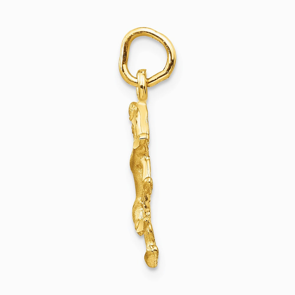 14K Yellow Gold Satin Diamond-cut Leo Zodiac Charm - Product Photo