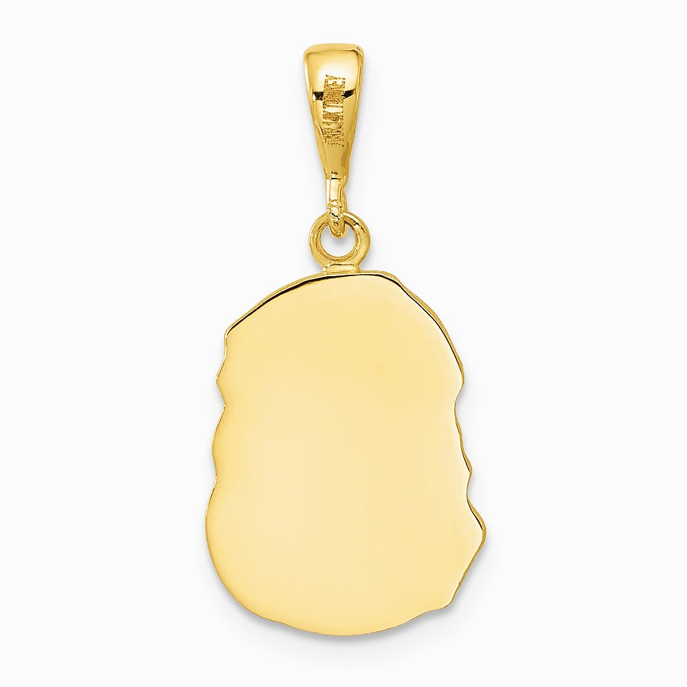 14K Yellow Gold Satin and Diamond-cut Jesus Medal Pendant - Product Photo