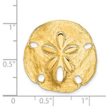 14K Yellow Gold Polished Fits up to 8mm on Both Small Sand Dollar Slide - Product Photo