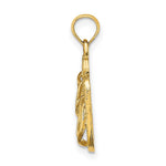 14k 3D Solid Polished HAWAII Flip-Flops Charm - Product Photo