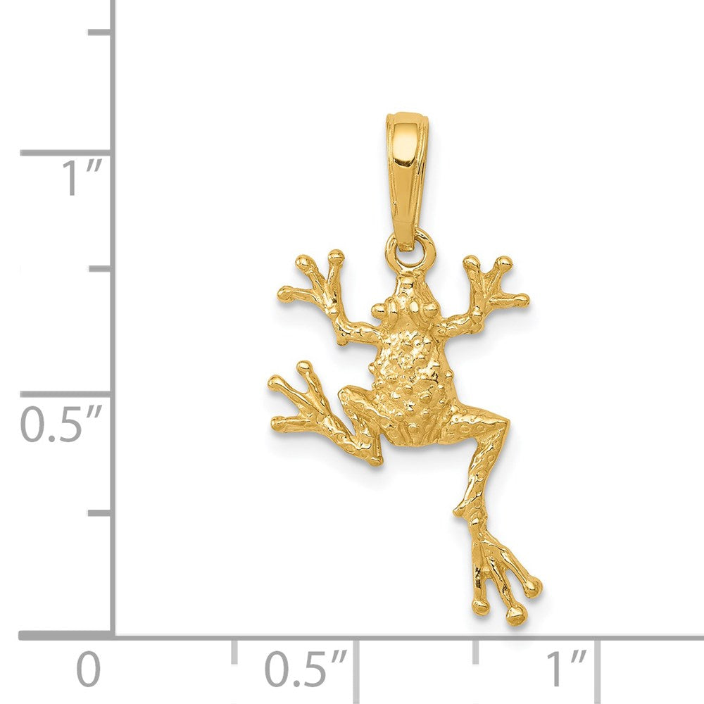 14k Solid Polished Open-Backed Frog Pendant - Product Photo
