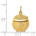14k Pot of Gold Charm - Product Photo
