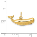 14k Sperm Whale Charm - Product Photo