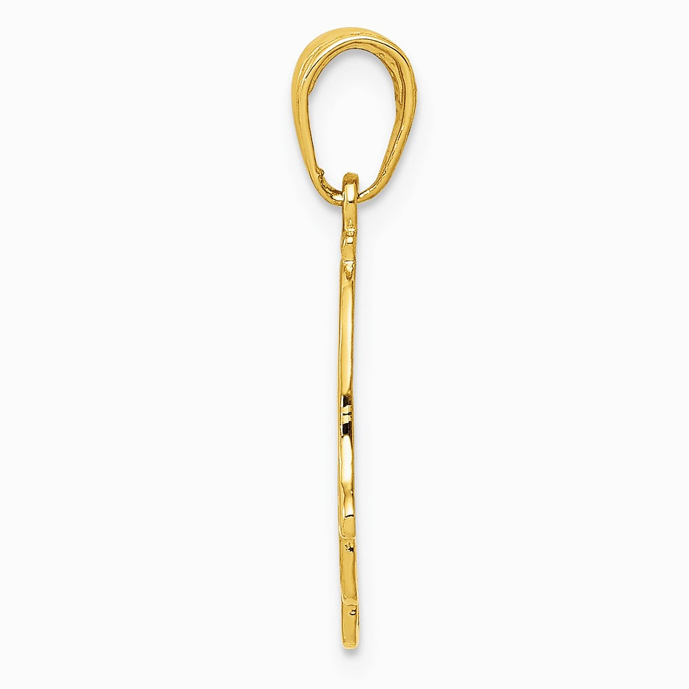 10K / 14K Yellow Gold Chamseh Pendant - Product Photo