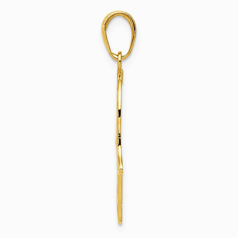 10K / 14K Yellow Gold Chamseh Pendant - Product Photo